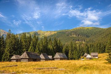 Fototapeta na wymiar Traditional wooden hut in Tatra mountains, Poland.