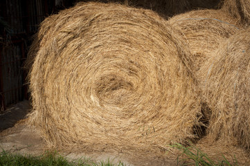 Bales