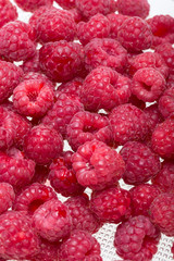 A beautiful selection of freshly picked ripe red raspberries.