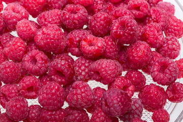 A beautiful selection of freshly picked ripe red raspberries.