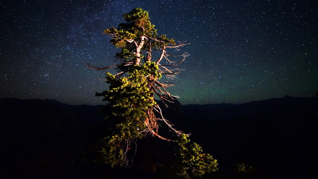3 axis motion controlled astrophotography time lapse footage with dolly right / tilt up / pan right / zoomin motion of starry sky over cypress tree at Glacier Point in Yosemite National Park, California