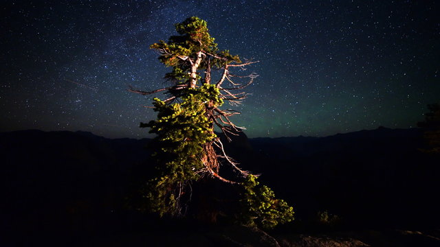 3 axis motion controlled astrophotography time lapse footage with dolly right / tilt up / pan right motion of starry sky over cypress tree at Glacier Point in Yosemite National Park, California