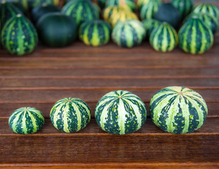 Cucurbita pepo still life green pumkins in a row