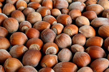 Hazelnuts