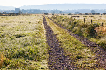 Obraz premium Dirt road in a meadow with dew in the grass in the morning