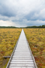 Hiking trail to a wooden footbridge across a bog
