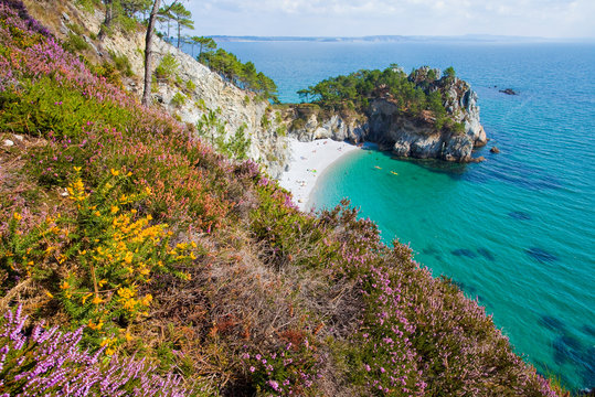 Presqu'île de Crozon, île vierge, Près du GR 34, au sud de Morgat, Finistère, Bretagne