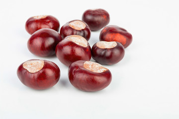 Horse chestnut. Stock image macro.