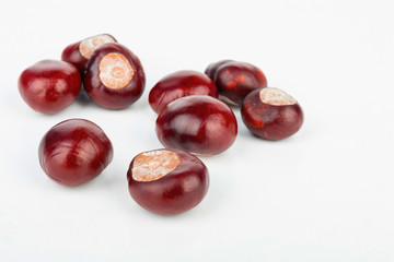 Horse chestnut. Stock image macro.