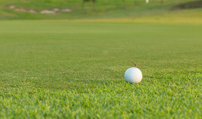 golf ball on lip of cup