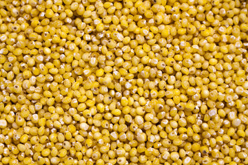 Yellow millet background