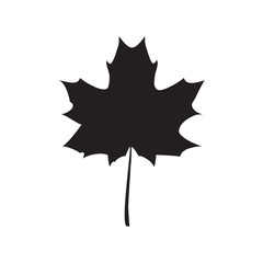 Black Maple leaf vector illustration