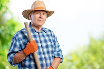 Gardening.