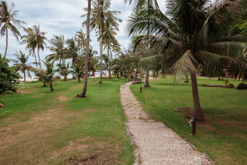 tropical garden and  the road to sea beach