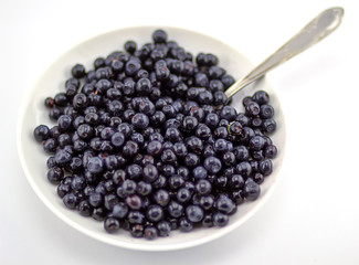 blueberries in a white plate
