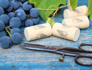 weinkorken und weintrauben