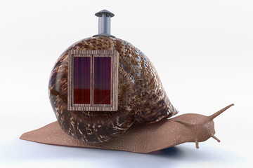 Snail with house on it's back