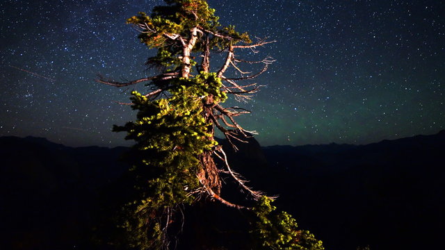 3 axis motion controlled astrophotography time lapse footage with dolly right / tilt up / pan right / zoom out motion of starry sky over cypress tree at Glacier Point in Yosemite National Park, California