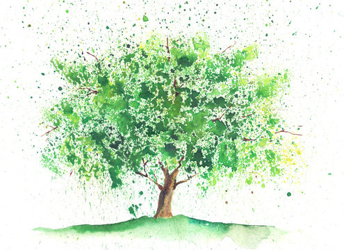 Watercolor summer tree
