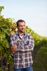 Young winemaker in vineyard with arms crossed