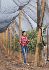 Girl in apple orchard