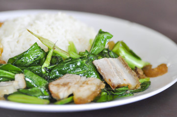 Stir fried kale with crispy pork and rice