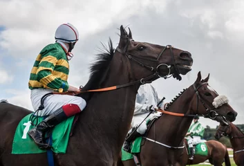 Photo sur Plexiglas Léquitation close up of race horses and jockeys 