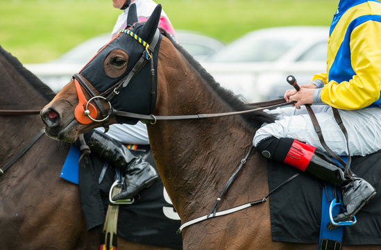 close up of jockeys on race horses