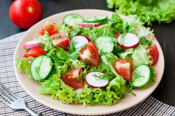 Tomato and cucumber salad with lettuce leafes