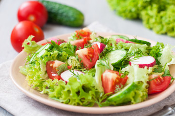 Tomato and cucumber salad with lettuce leafes