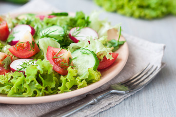 Tomato and cucumber salad with lettuce leafes