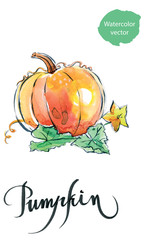 Watercolor orange pumpkin