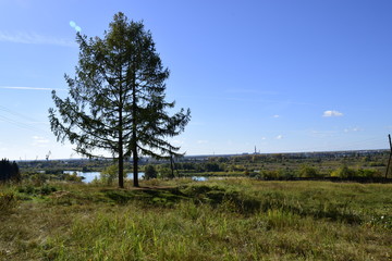 Obraz premium осенняя прогулка