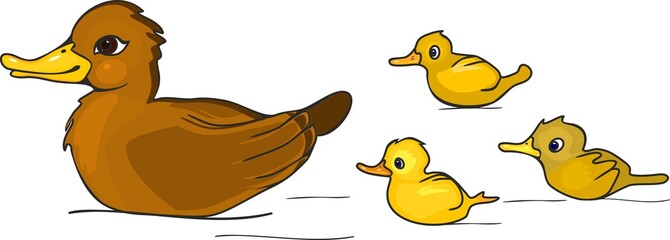 Duck with ducklings