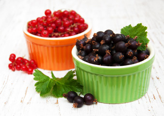 black currant and red currant