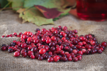 Клюква. Ягоды из леса. немного клюквы на столе. Ягоды с веточками мха