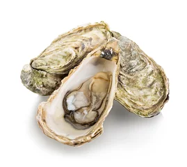 Fotobehang Oysters isolated on a white background © bestphotostudio