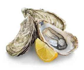 Poster Oysters isolated on a white background © bestphotostudio