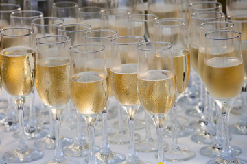 Wedding glasses filled with champagne, ready to be served