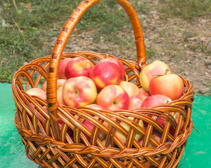 apples basket