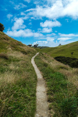 Single trail in New Zealand.