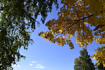 золотая осень