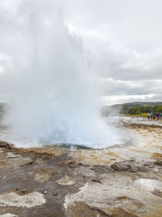 geyser in Iceland