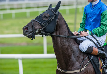 Obraz premium close up of race horse and jockey on the race track