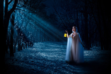 Elven girl with lantern at night forest © Boris Riaposov
