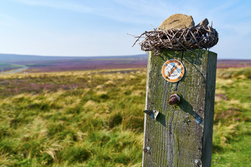 No bikes allowed on a hiking trail.