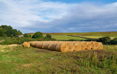 Haystack store at a farm in County Durham