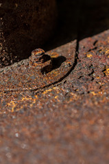 Rost formatfüllend