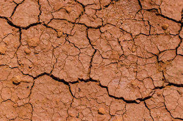 Dry ground texture