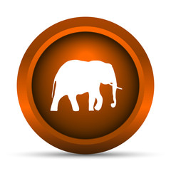 Elephant icon